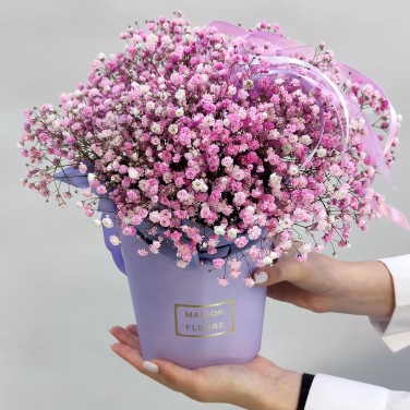 Нежность розовая гипсофила для девочки