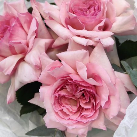 Розовый ароматный привет из роз