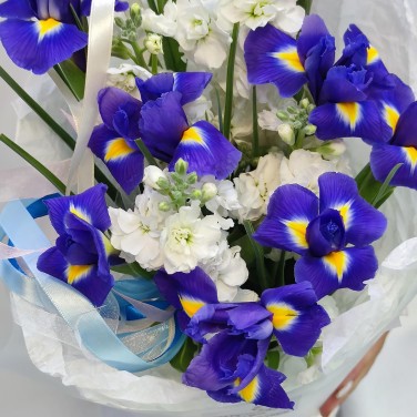Букет ирисов и маттиол в упаковке