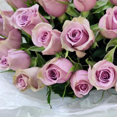 Лавандовые сны монобукет из 15 роз