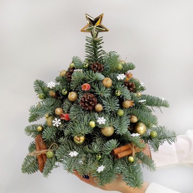 Праздничная елка из хвои и корицы