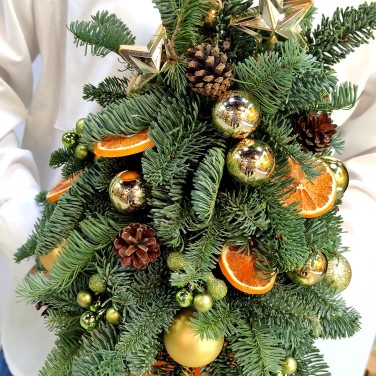 Елочка зимняя с апельсинками