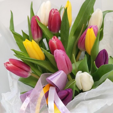 15 разноцветных тюльпанов