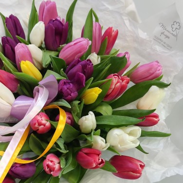 51 разноцветный тюльпан