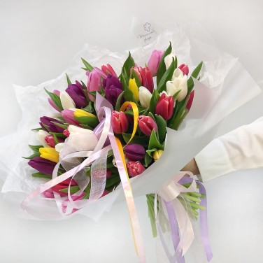 51 разноцветный тюльпан