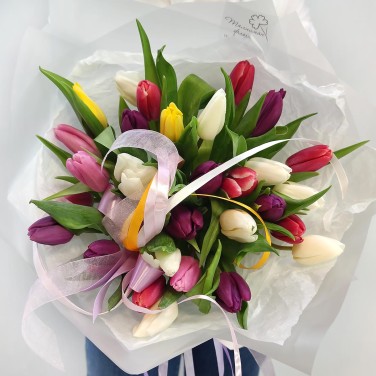 31 разноцветный тюльпан