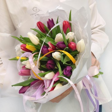 31 разноцветный тюльпан