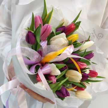 31 разноцветный тюльпан