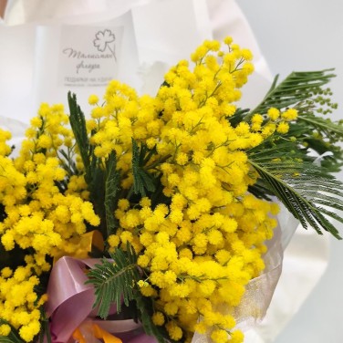 Золото небес букет мимозы S