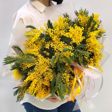 Золото небес букет мимозы XL