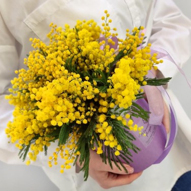 Коробочка мимозы Тебе