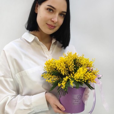 Коробочка мимозы Тебе