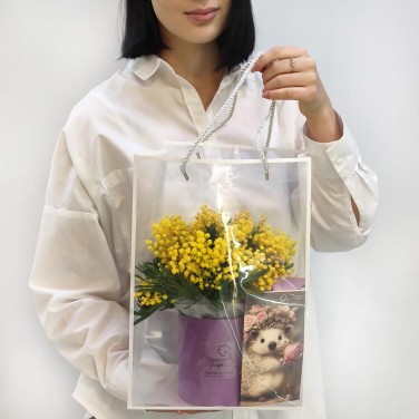 Коробочка мимозы Тебе