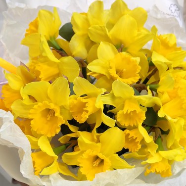 Букет нарциссов 25