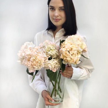 Розовая гортензия в вазе