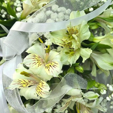 Трогательная нежность букет альстромерий