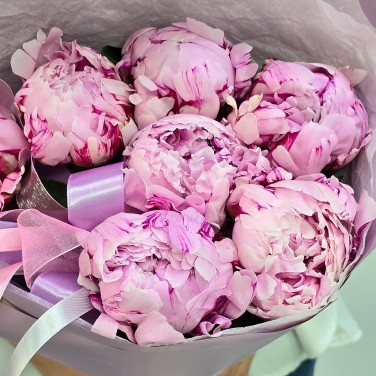 Букет из 7 розовых пионов