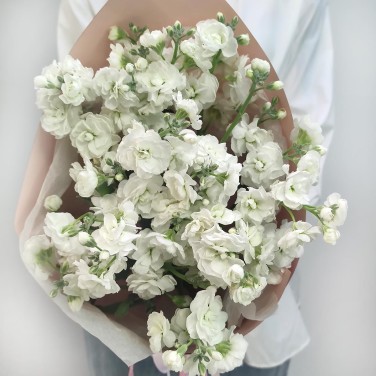 Белоснежность букет маттиол