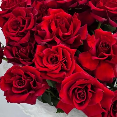 Шикарный букет бархатных красных французских роз