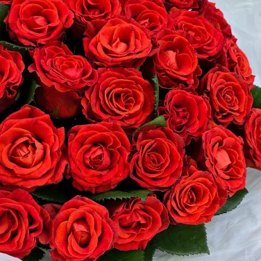 Алые вечера букет 51 розы