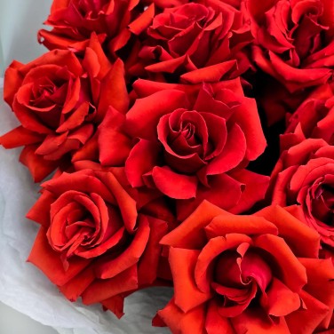 Эффектный огненный букет французских роз