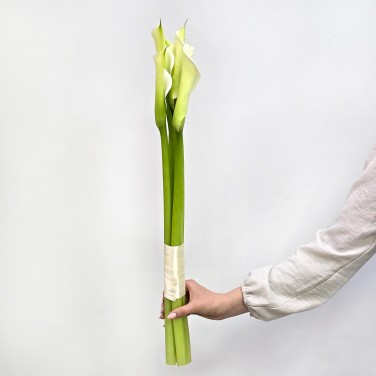 Элегантность букет калл