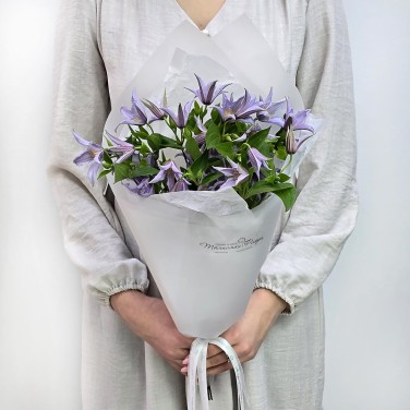 Милый клематис в упаковке