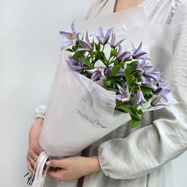 Милый клематис в упаковке