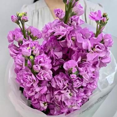 Букет розовых маттиол