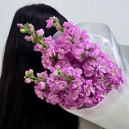 Букет розовых маттиол