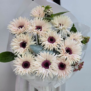 Заветное желание букет гербер мини спайдер