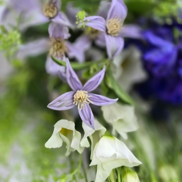 Вечерний бриз букет летних цветов