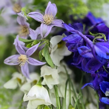 Вечерний бриз букет летних цветов