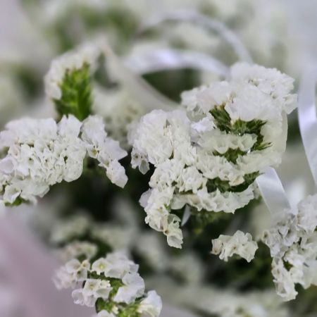 Белоснежные грезы букет статицы