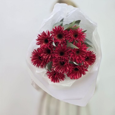 Вишневый букет гербер мини спайдер