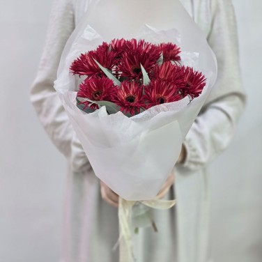 Вишневый букет гербер мини спайдер