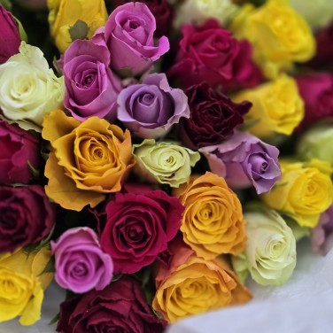 Букет разноцветных роз Кения 51 шт