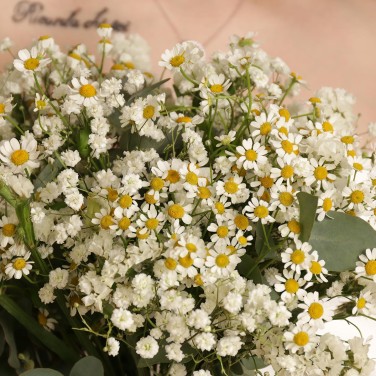 Свадебный букет из ромашек и гипсофилы