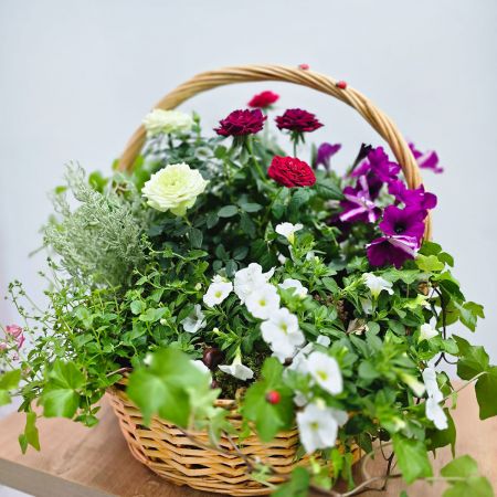 Корзина с растениями Усадьба