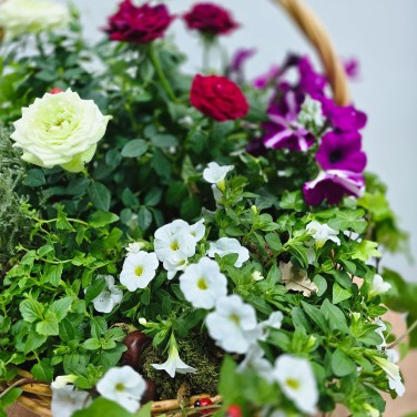 Корзина с растениями Усадьба