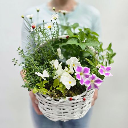Корзина с травами Летнее очарование