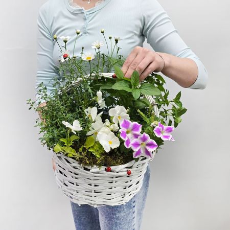 Корзина с травами Летнее очарование