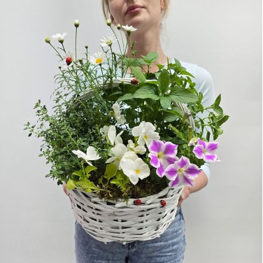 Корзина с травами Летнее очарование