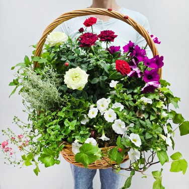 Корзина с растениями Усадьба