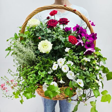 Корзина с растениями Усадьба