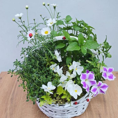 Корзина с травами Летнее очарование