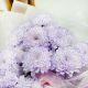 Букет из хризантем Лавандовая дымка 3