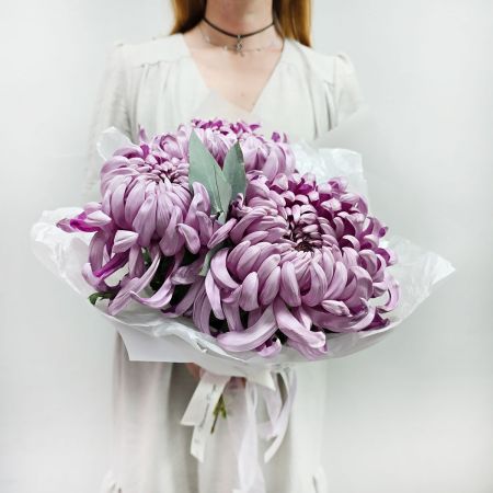 Моно букет хризантем Лиловый сон