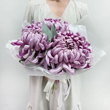 Моно букет хризантем Лиловый сон