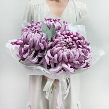 Моно букет хризантем Лиловый сон